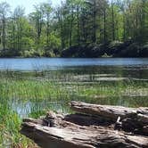 Review photo of Deerfield Campground — Promised Land State Park by Mike T., August 1, 2016