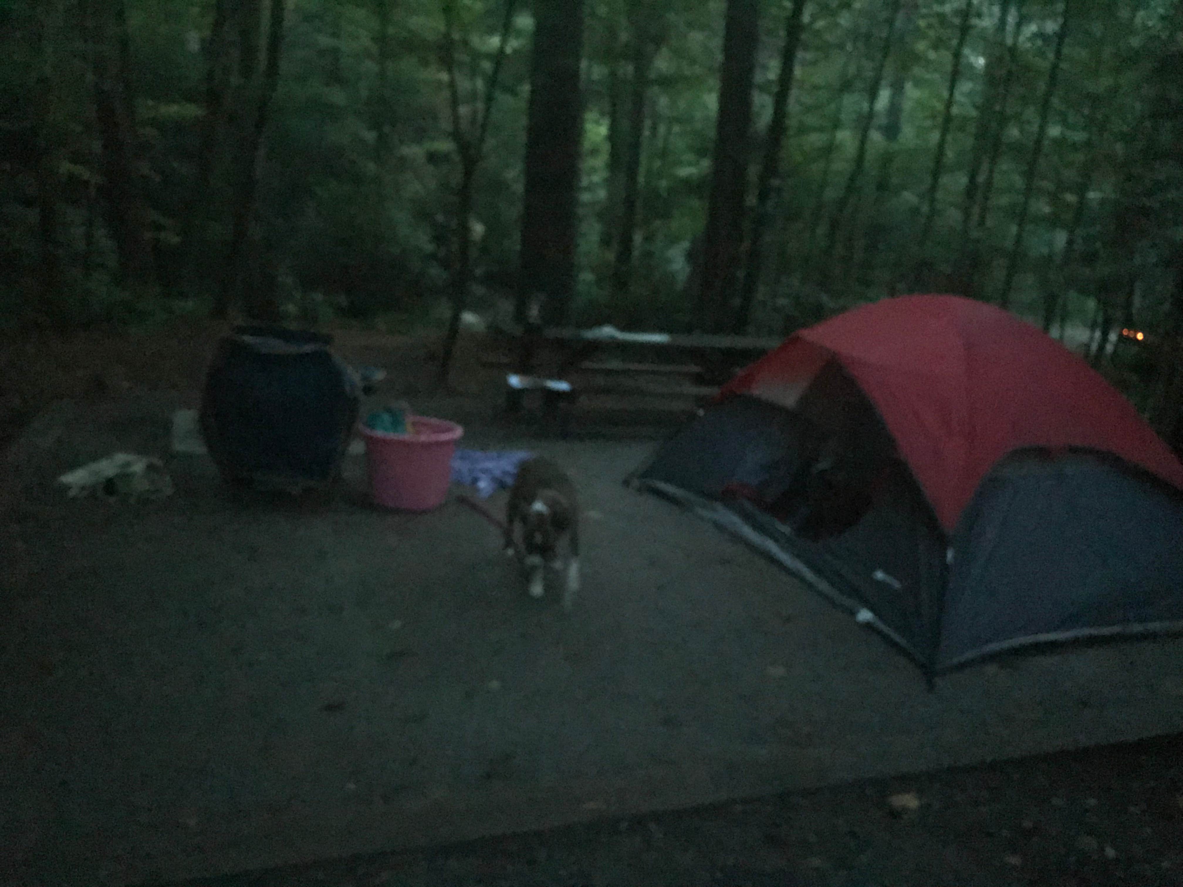Sherri P.'s photo at South Mountains State Park Family Campground near Conover, NC