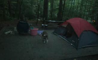 Sherri P.'s photo at South Mountains State Park Family Campground near Denver, NC