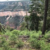 Review photo of North Rim Campground — Grand Canyon National Park by John P., August 31, 2018