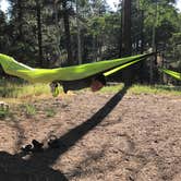 Review photo of North Rim Campground — Grand Canyon National Park by John P., August 31, 2018