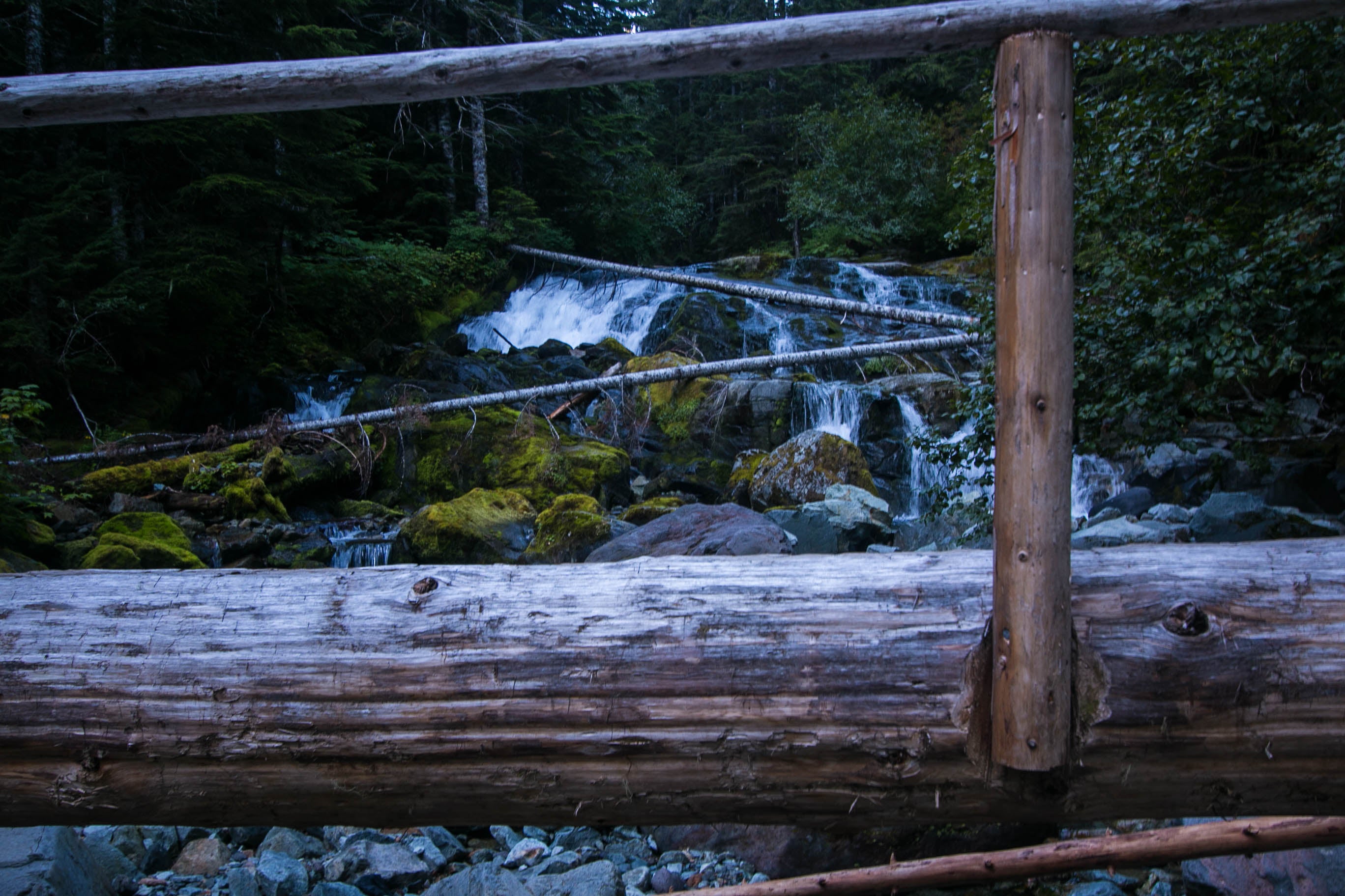 Camper submitted image from Carbon River Camp — Mount Rainier National Park - 2