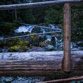 Review photo of Carbon River Camp — Mount Rainier National Park by Danielle S., August 31, 2018