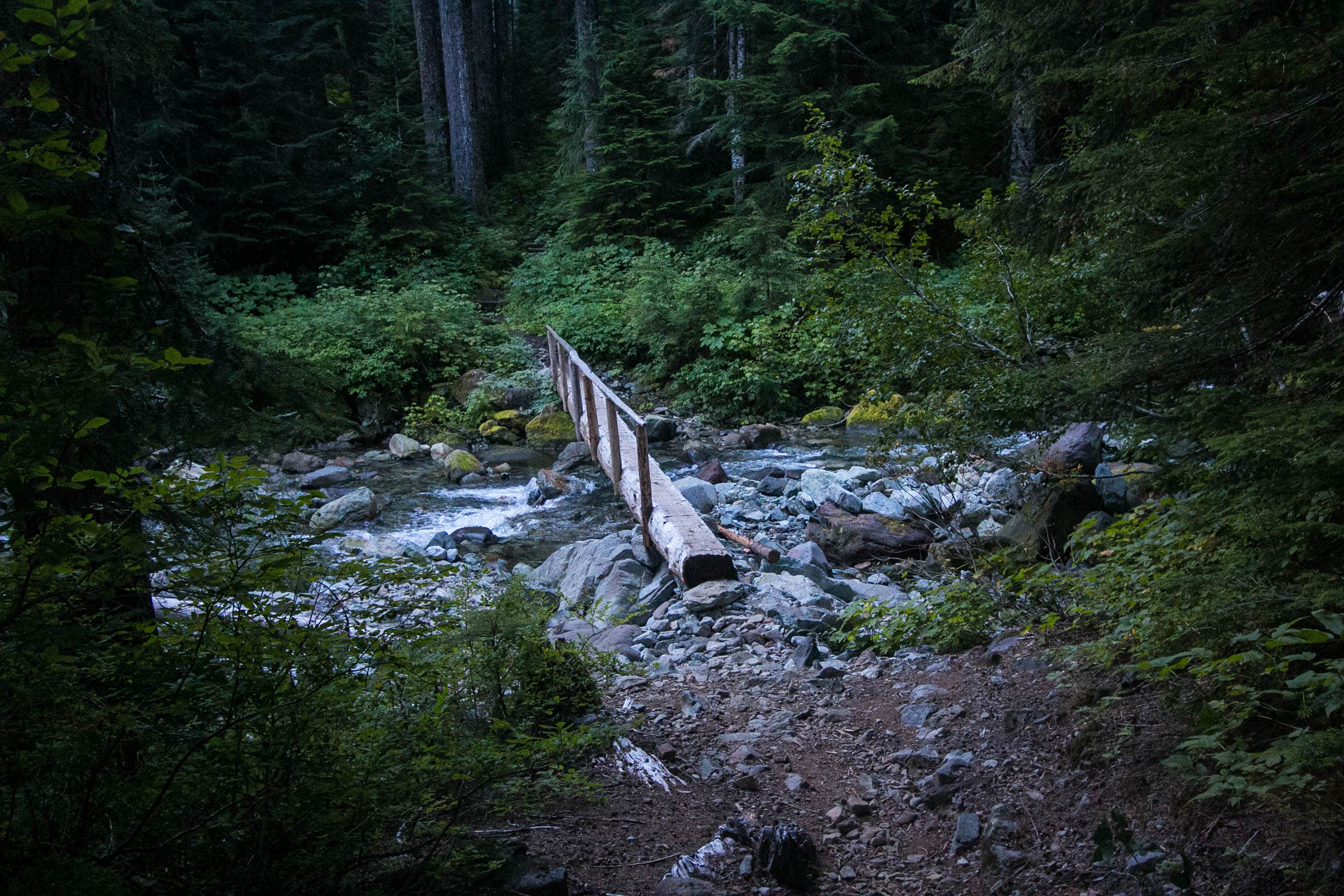 Camper submitted image from Carbon River Camp — Mount Rainier National Park - 4