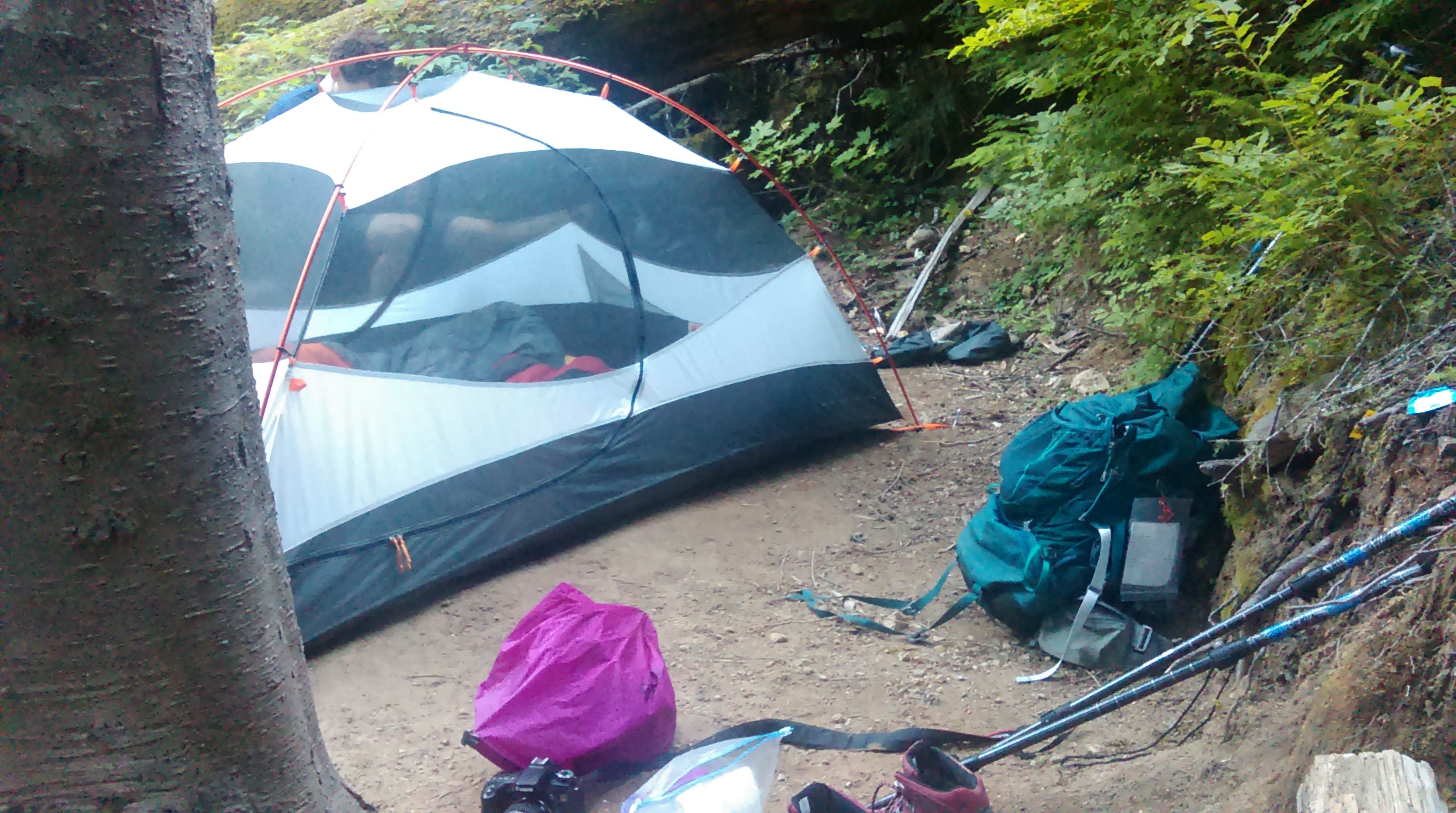 Danielle S.'s photo of tent camping at Carbon River Camp — Mount Rainier National Park near Lake Tapps, WA