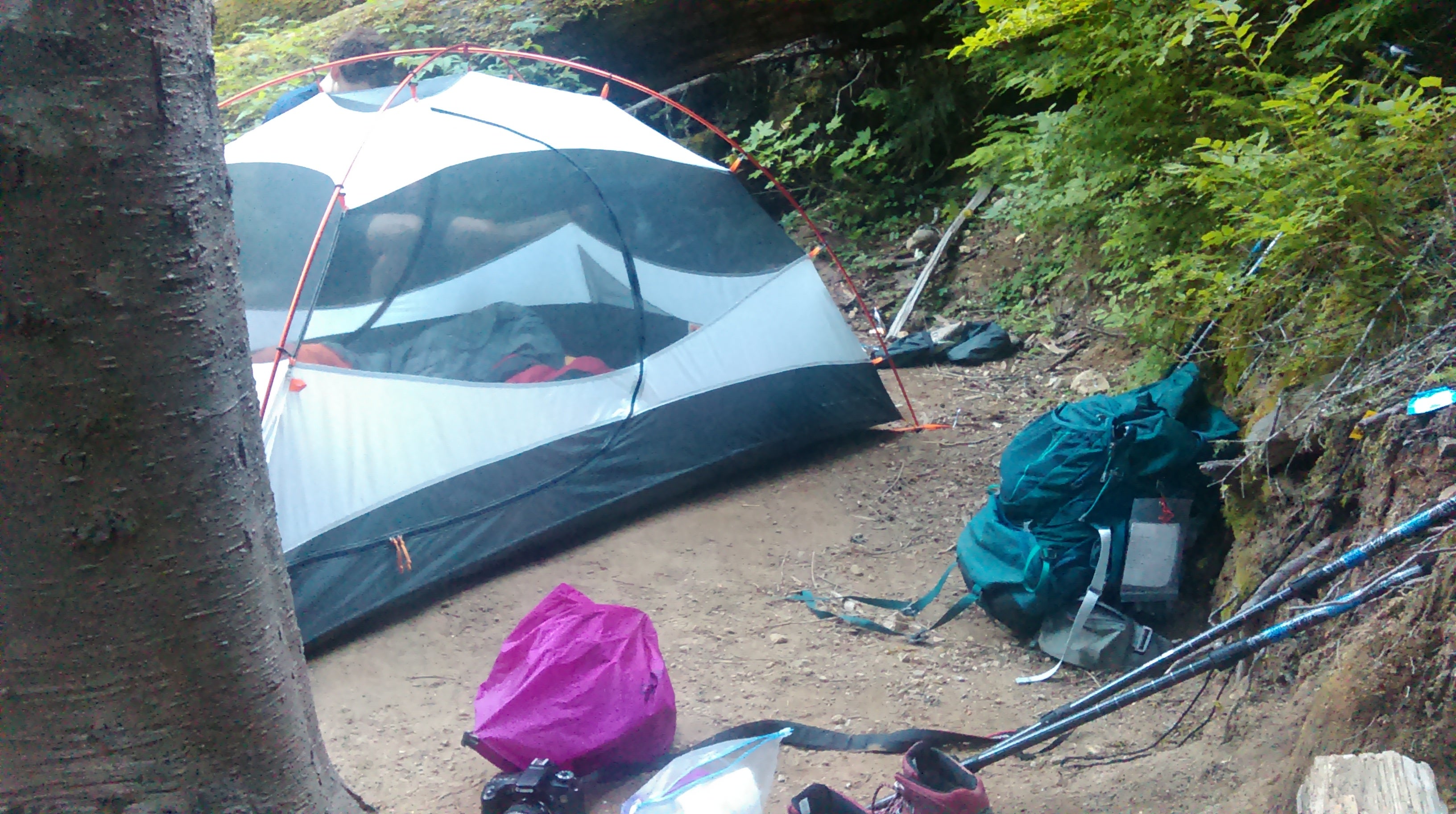 Camper submitted image from Carbon River Camp — Mount Rainier National Park - 4