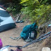 Review photo of Carbon River Camp — Mount Rainier National Park by Danielle S., August 31, 2018