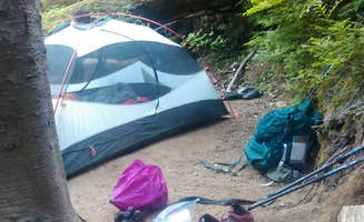 Danielle S.'s photo at Carbon River Camp — Mount Rainier National Park near Mount Rainier National Park