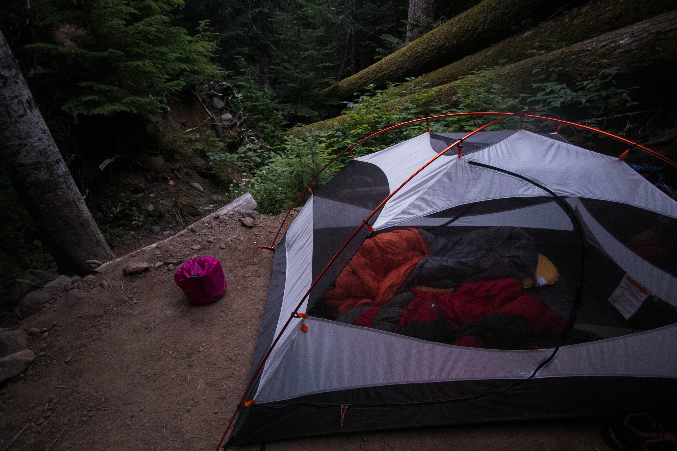 Camper submitted image from Carbon River Camp — Mount Rainier National Park - 3