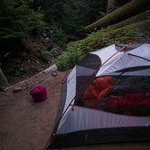 Review photo of Carbon River Camp — Mount Rainier National Park by Danielle S., August 31, 2018
