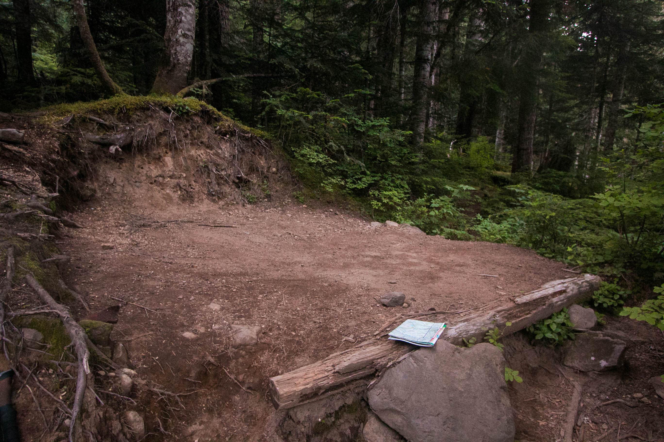 Camper-submitted photo at Carbon River Camp — Mount Rainier National Park near Lake Tapps, WA