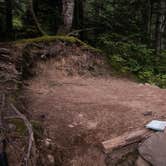 Review photo of Carbon River Camp — Mount Rainier National Park by Danielle S., August 31, 2018