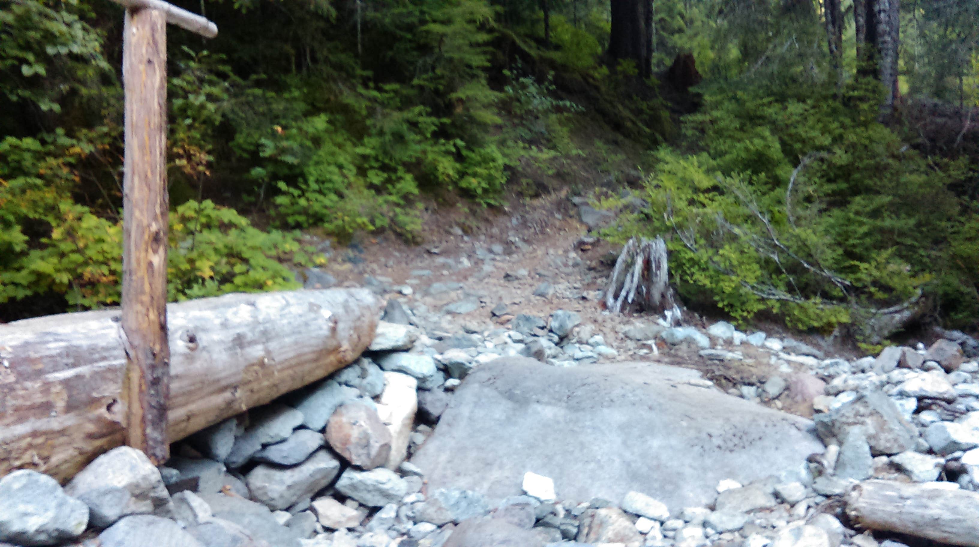 Camper-submitted photo at Carbon River Camp — Mount Rainier National Park near Lake Tapps, WA