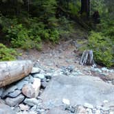 Review photo of Carbon River Camp — Mount Rainier National Park by Danielle S., August 31, 2018