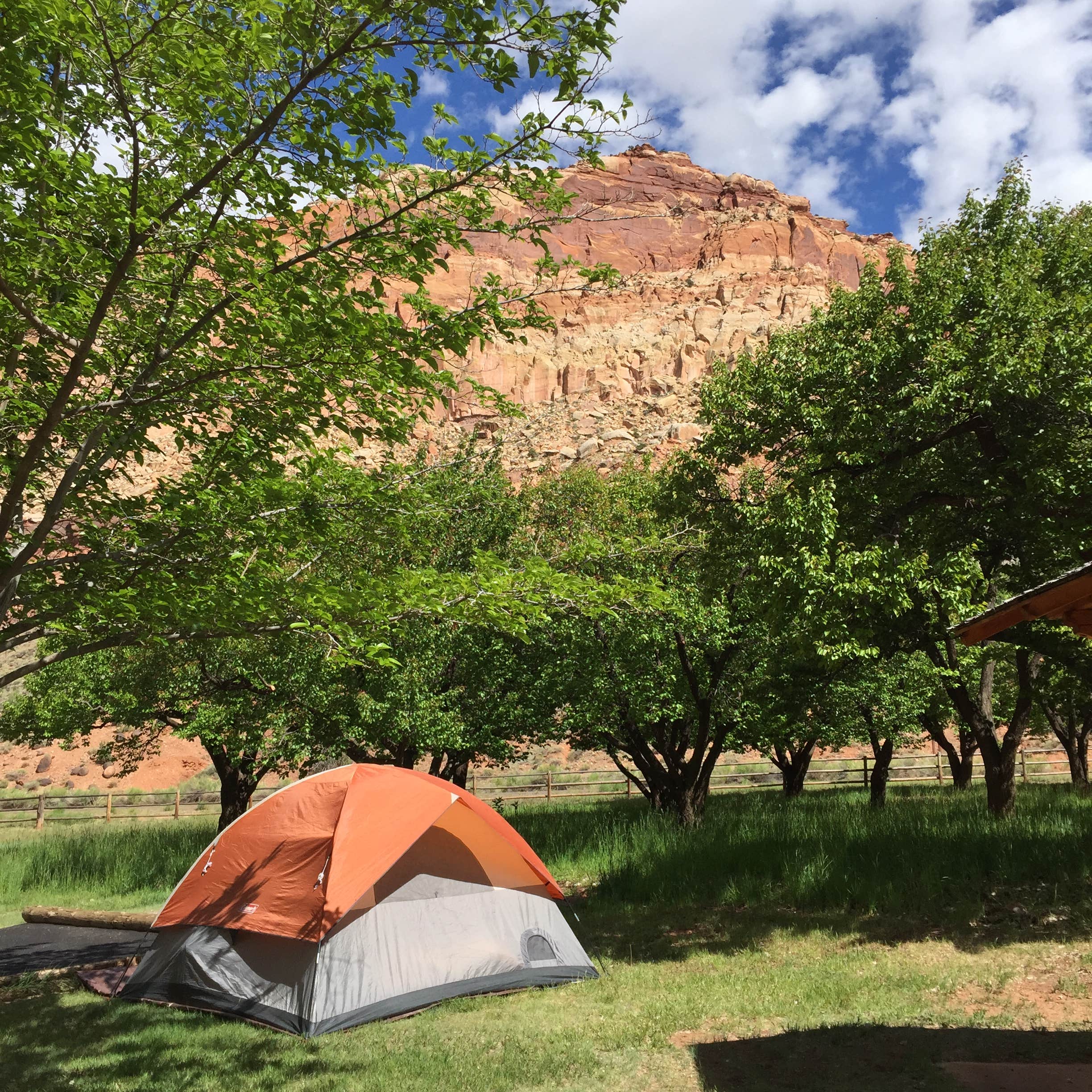 Jenny W.'s photo at Fruita Campground — Capitol Reef National Park near Capitol Reef National Park