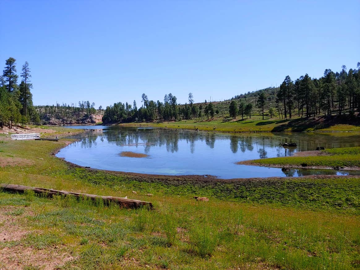 Camper submitted image from Black Canyon Rim Campground (apache-sitgreaves National Forest, Az) - 5