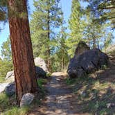 Review photo of Black Canyon Rim Campground (apache-sitgreaves National Forest, Az) by Daniel L., August 31, 2018