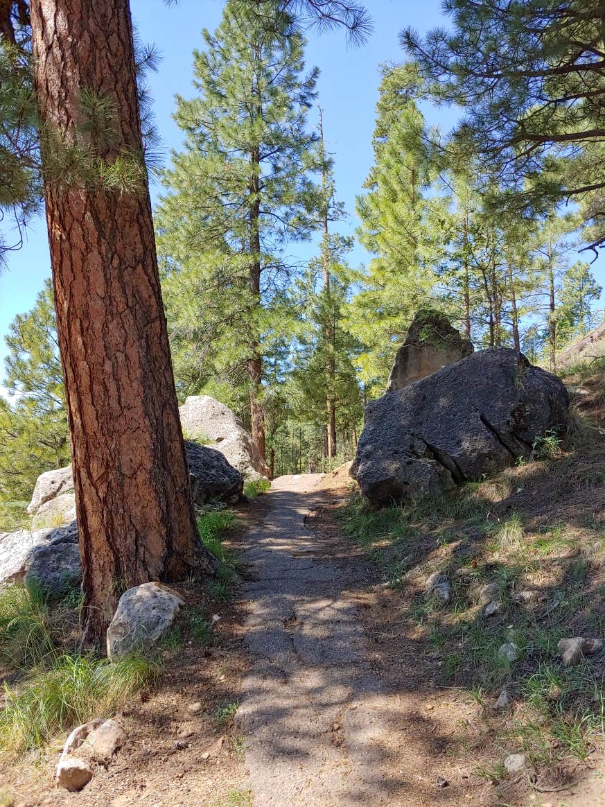 Camper submitted image from Black Canyon Rim Campground (apache-sitgreaves National Forest, Az) - 3