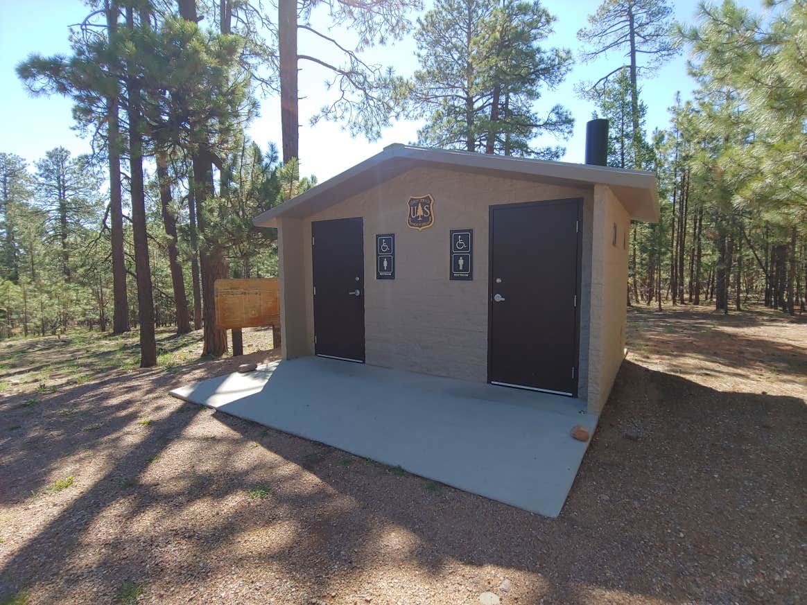 Daniel L.'s photo of camping with pets at Black Canyon Rim Campground (apache-sitgreaves National Forest, Az) near Show Low, AZ