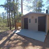 Review photo of Black Canyon Rim Campground (apache-sitgreaves National Forest, Az) by Daniel L., August 31, 2018