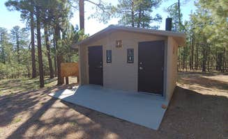 Daniel L.'s photo of camping with pets at Black Canyon Rim Campground (apache-sitgreaves National Forest, Az) near Forest Lakes, AZ