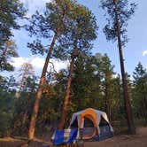 Review photo of Black Canyon Rim Campground (apache-sitgreaves National Forest, Az) by Daniel L., August 31, 2018