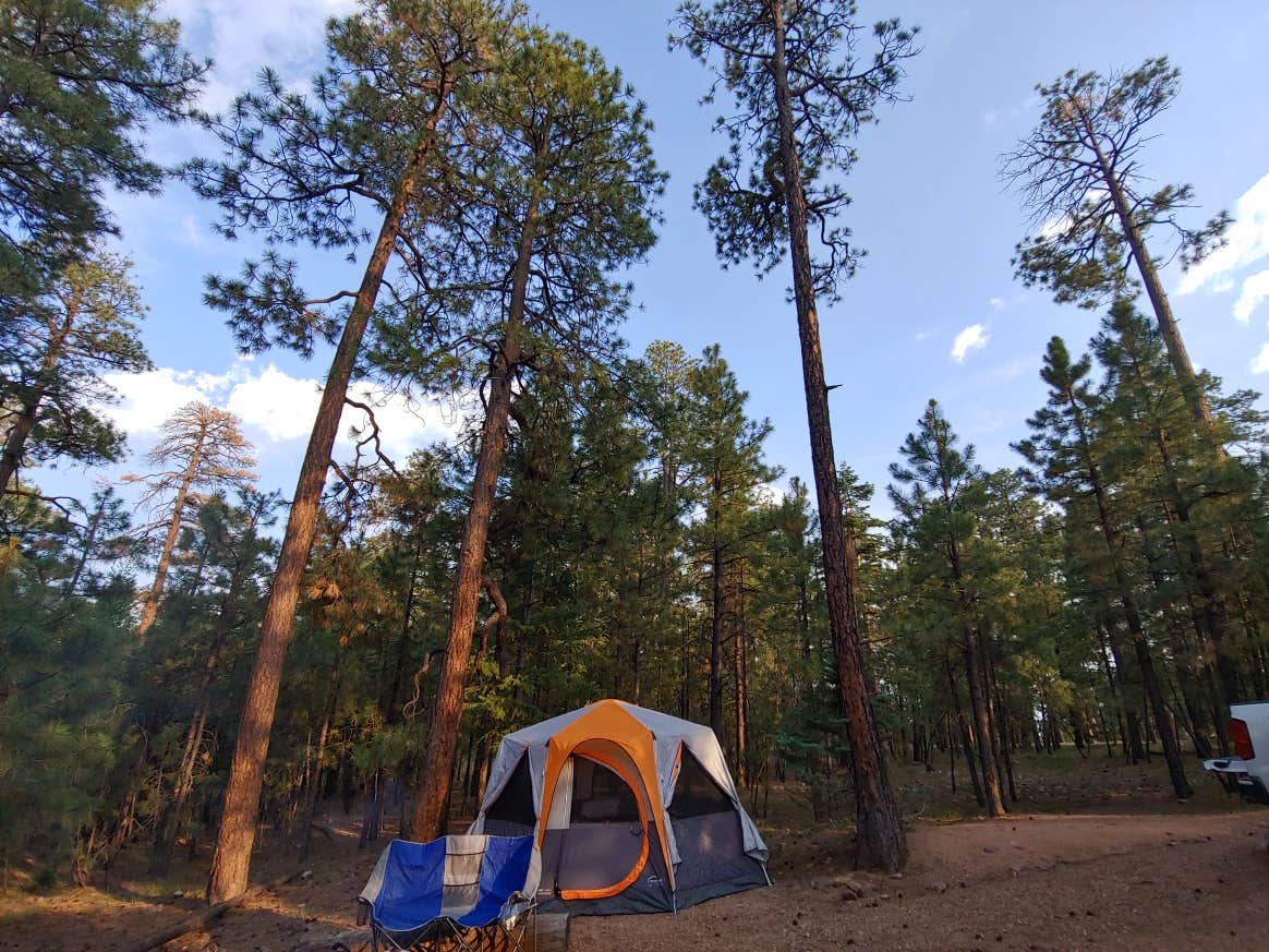 Camper submitted image from Black Canyon Rim Campground (apache-sitgreaves National Forest, Az) - 3