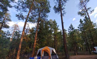 Daniel L.'s photo at Black Canyon Rim Campground (apache-sitgreaves National Forest, Az) near Cibecue, AZ