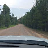 Review photo of Black Canyon Rim Campground (apache-sitgreaves National Forest, Az) by Daniel L., August 31, 2018