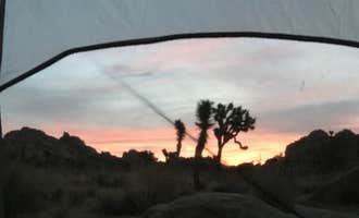 Camping near Ryan Campground — Joshua Tree National Park: Boy Scout Trail Backcountry Sites — Joshua Tree National Park, Joshua Tree, California