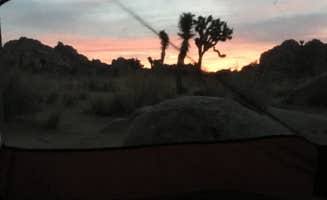 Les R.'s photo at Boy Scout Trail Backcountry Sites — Joshua Tree National Park near Thousand Palms, CA
