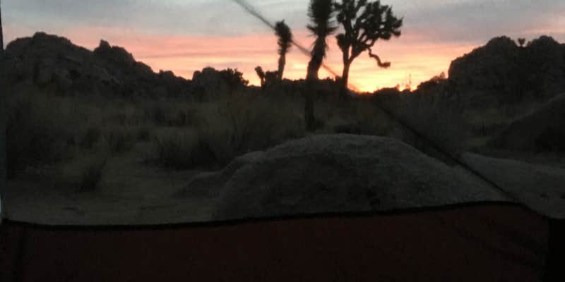 Camper submitted image from Boy Scout Trail Backcountry Sites — Joshua Tree National Park