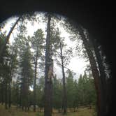 Review photo of Dairy Springs Campground by Sean H., August 1, 2016