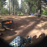 Review photo of Dairy Springs Campground by Sean H., August 1, 2016