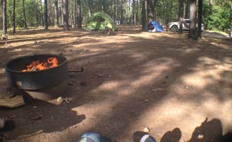 Sean H.'s photo at Dairy Springs Campground near Mormon Lake, AZ