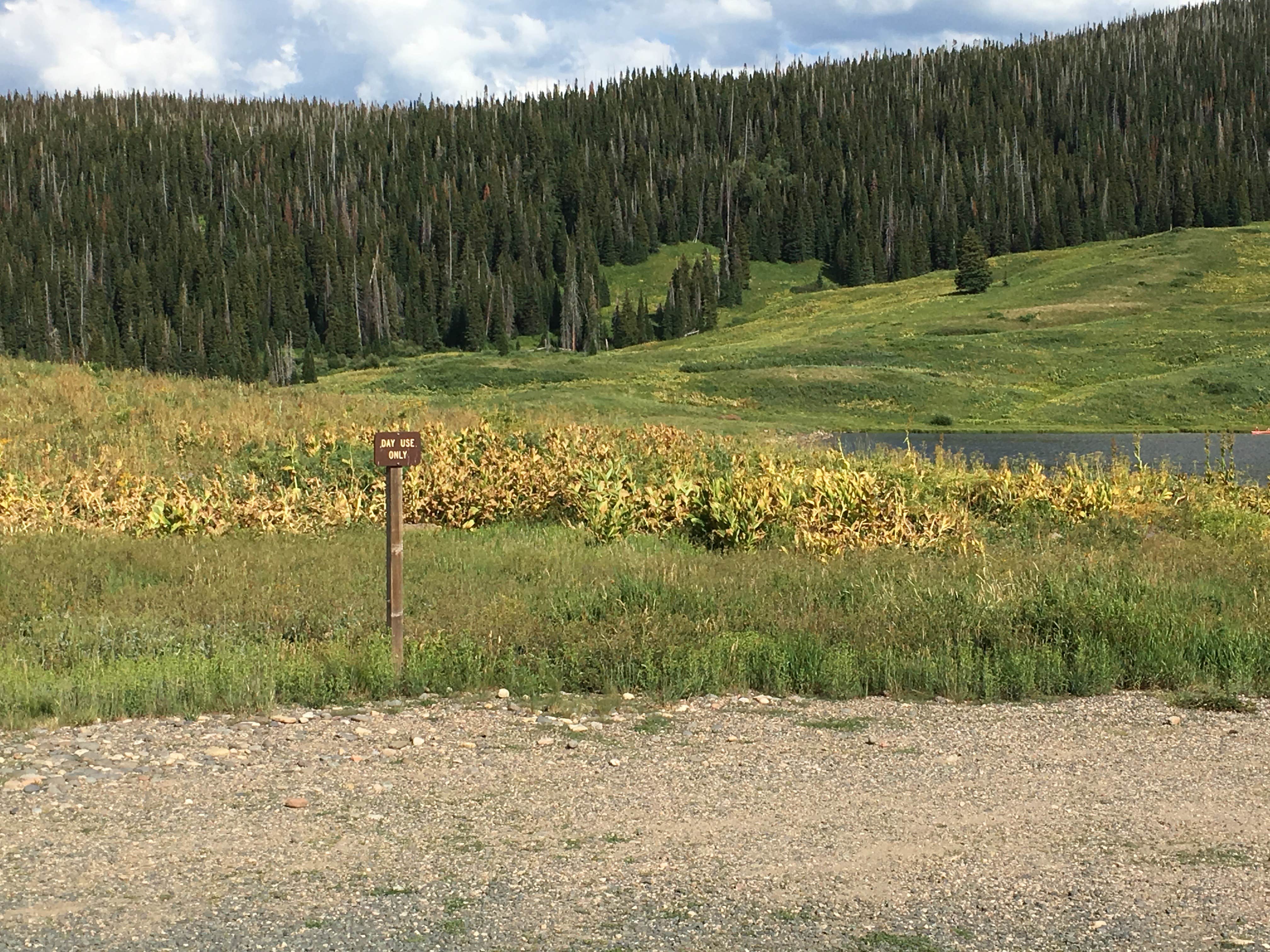Escape to Tranquility: A Guide to Colorado's Vaughan Lake Campground