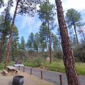 Review photo of White Spar Campground by Daniel L., August 31, 2018
