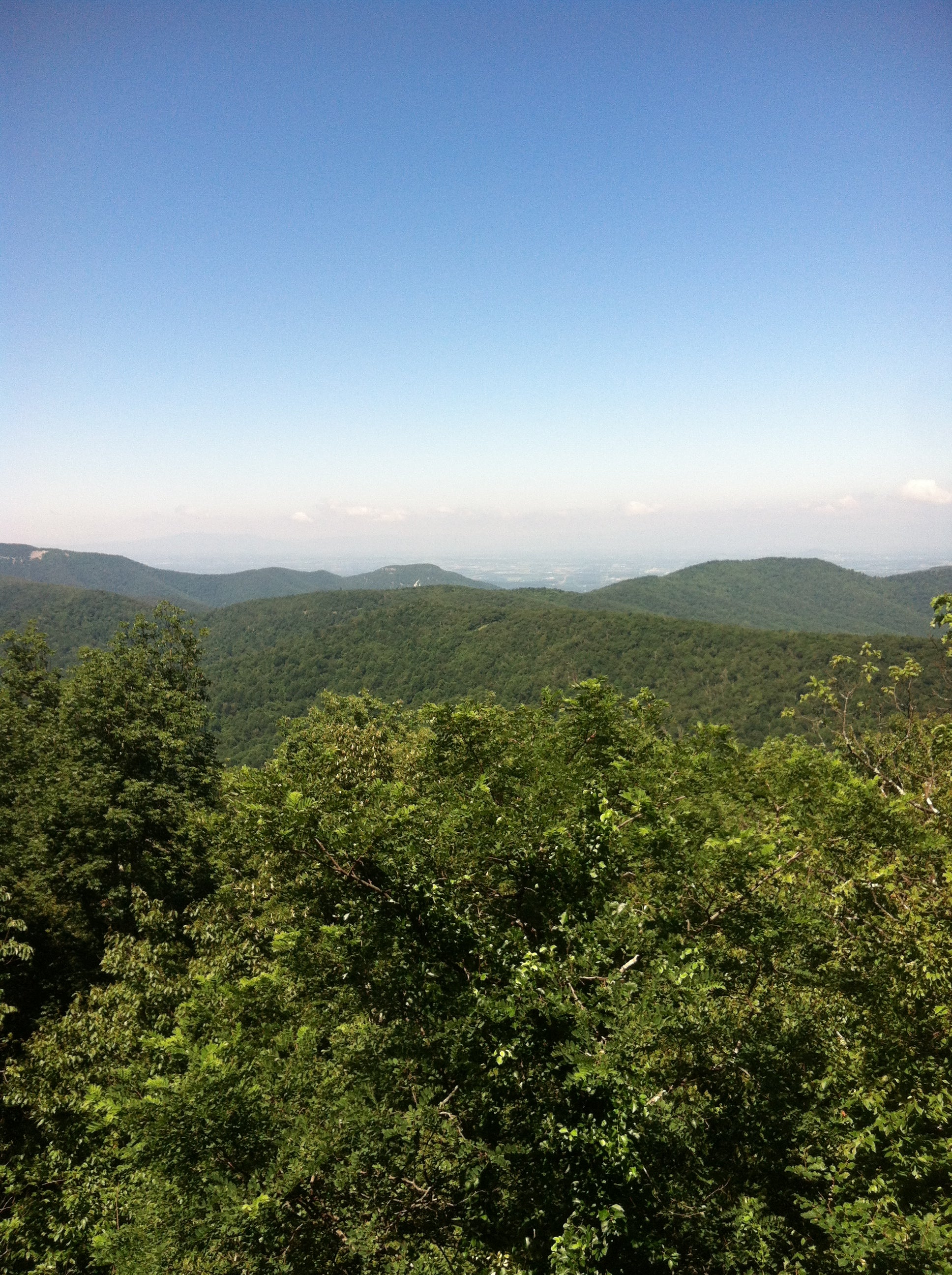 Camper submitted image from Mathews Arm Campground — Shenandoah National Park - 2