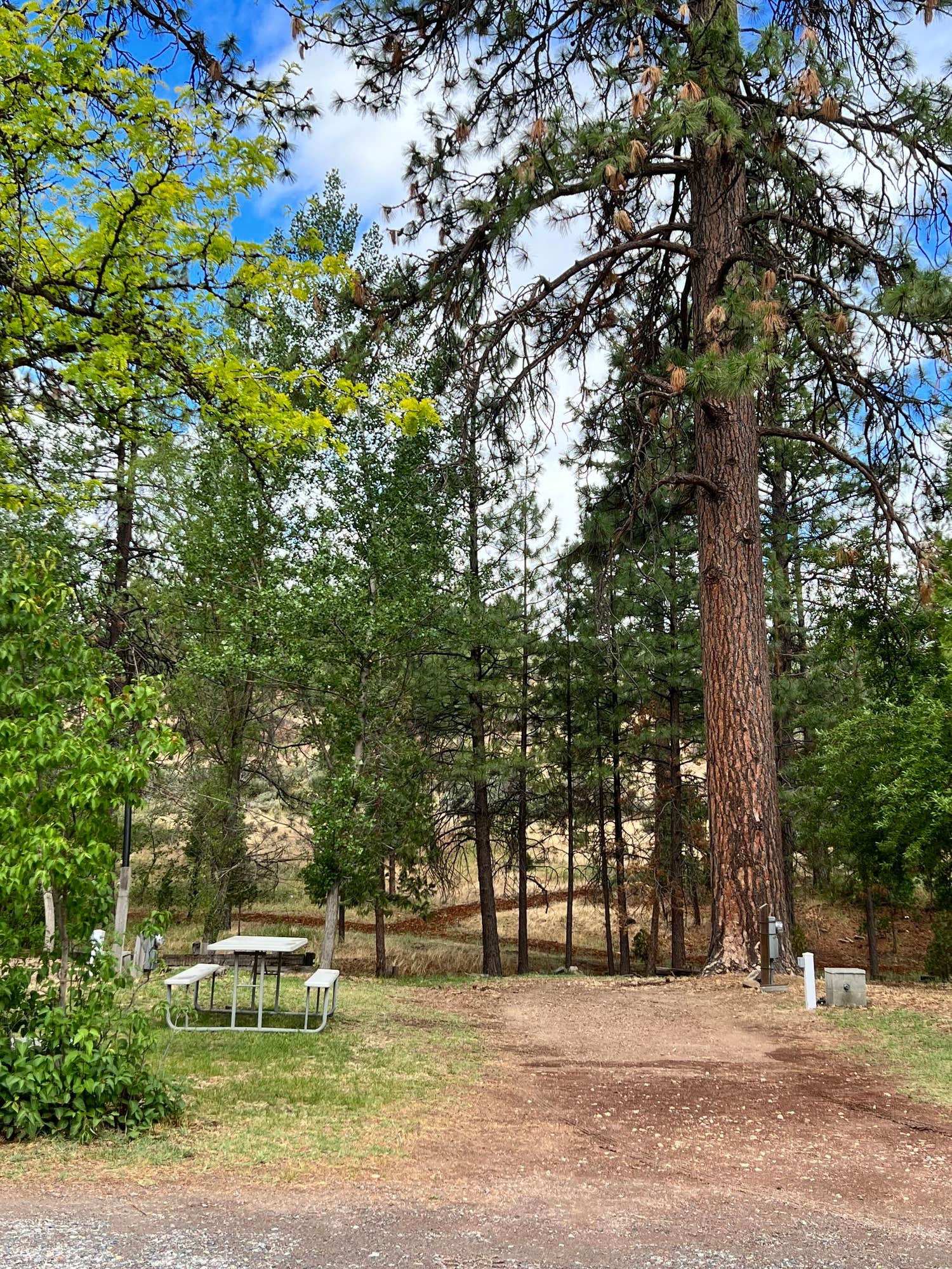 Camper-submitted photo at Trailer Lane Campground near Greenview, CA