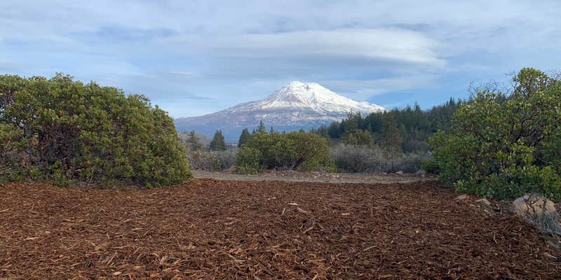 Camper submitted image from Trailer Lane Campground