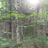 Review photo of Pictured Rocks National Lakeshore Backcountry Sites — Pictured Rocks National Lakeshore by Jimmy P., August 31, 2018