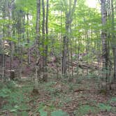 Review photo of Pictured Rocks National Lakeshore Backcountry Sites — Pictured Rocks National Lakeshore by Jimmy P., August 31, 2018