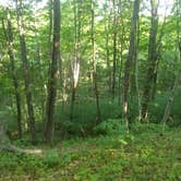 Review photo of Pictured Rocks National Lakeshore Backcountry Sites — Pictured Rocks National Lakeshore by Jimmy P., August 31, 2018