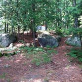 Review photo of Saranac Lake Islands Adirondack Preserve by Joanna H., August 1, 2016