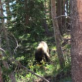 Review photo of Lake Mary Campground by Erin M., August 31, 2018