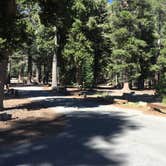 Review photo of Twin Lakes Campground by Erin M., August 31, 2018