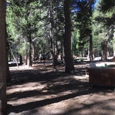 Review photo of Twin Lakes Campground by Erin M., August 31, 2018
