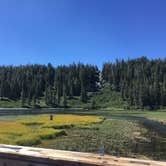 Review photo of Twin Lakes Campground by Erin M., August 31, 2018