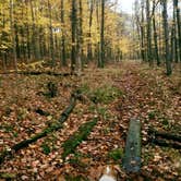 Review photo of Forest Glen County Preserve by Jennifer S., August 31, 2018