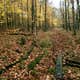 Forest Glen County Preserve